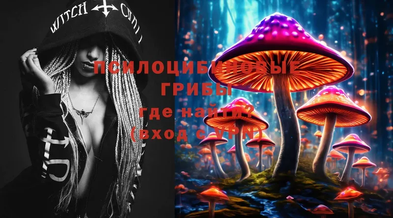 Псилоцибиновые грибы MAGIC MUSHROOMS  мега зеркало  Туапсе  как найти закладки 